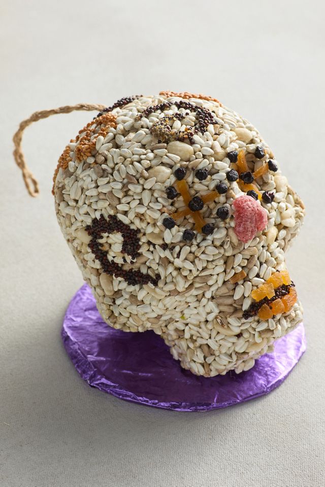 Bird Seed Sugar Skull Ornament #5