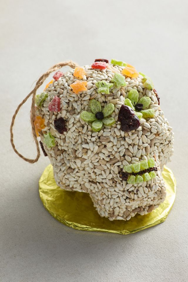 Bird Seed Sugar Skull Ornament #6