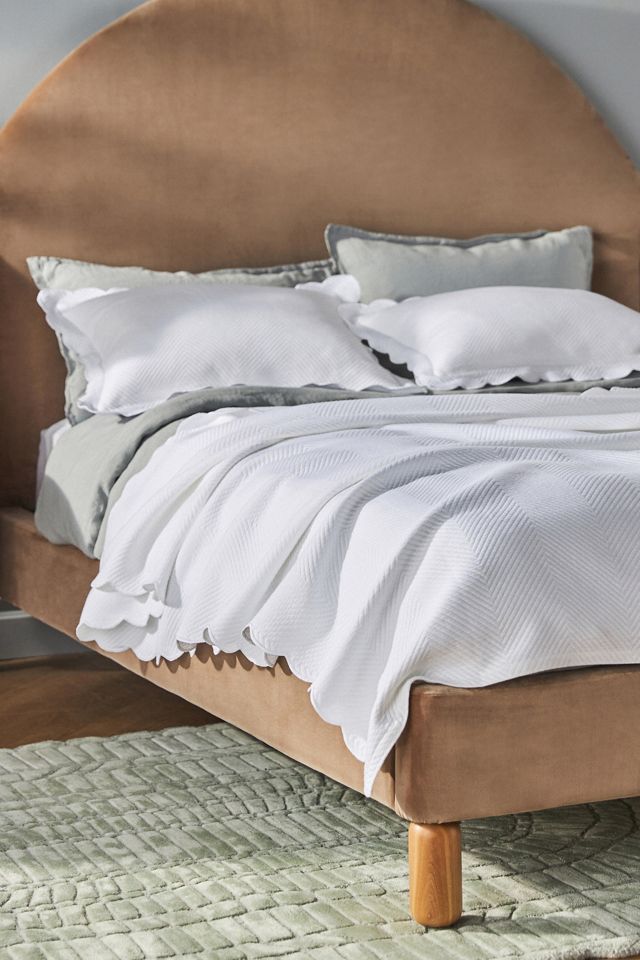 Lands Downunder Scallop Lattice Coverlet Sham #2