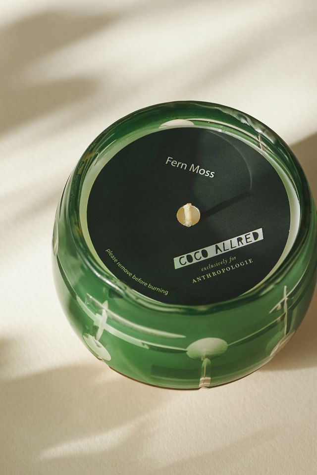 Coco Allred Fresh Fern Moss Glass Candle #1