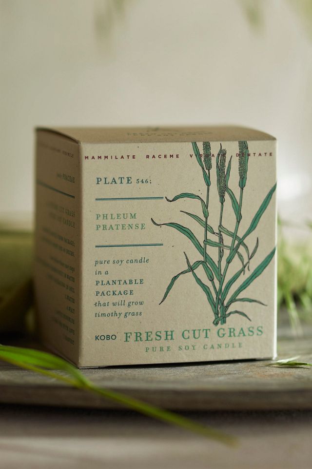 KOBO Plant the Box Candle, Garden Collection #1
