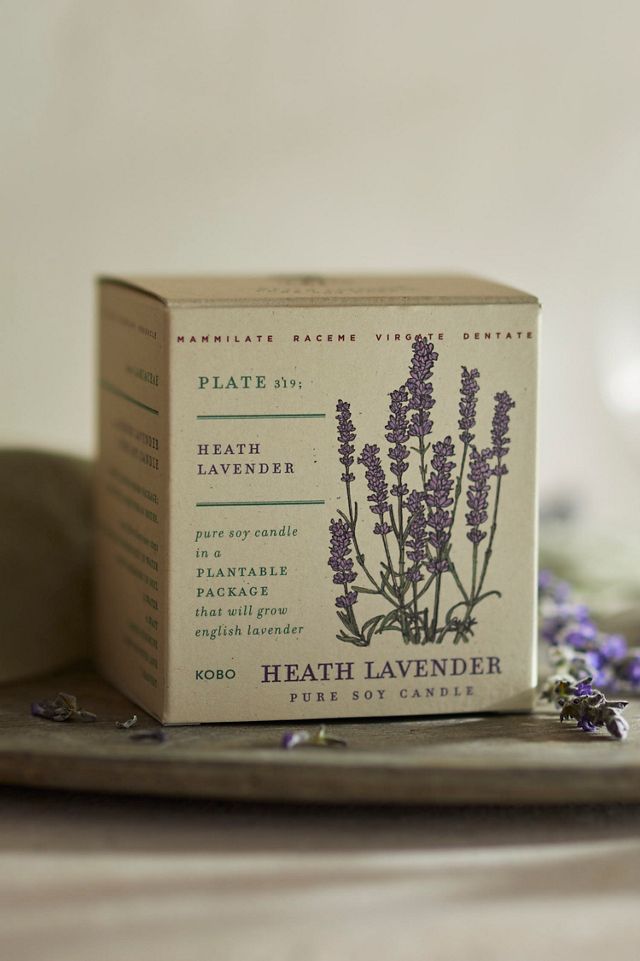 KOBO Plant the Box Candle, Garden Collection Terrain
