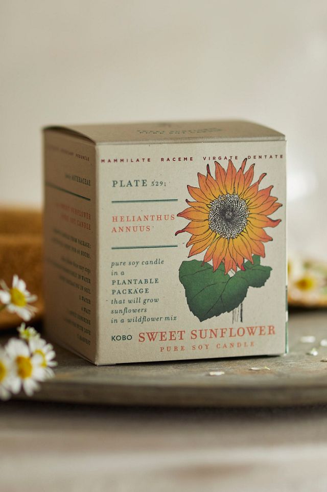 KOBO Plant the Box Candle, Garden Collection #1