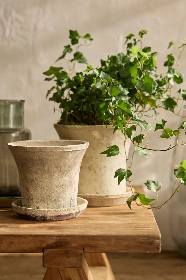 Earth Fired Clay Cylinder Pot + Saucer Set #2