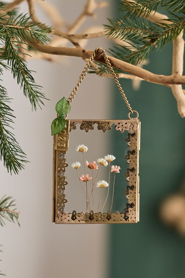 Ornament Frame