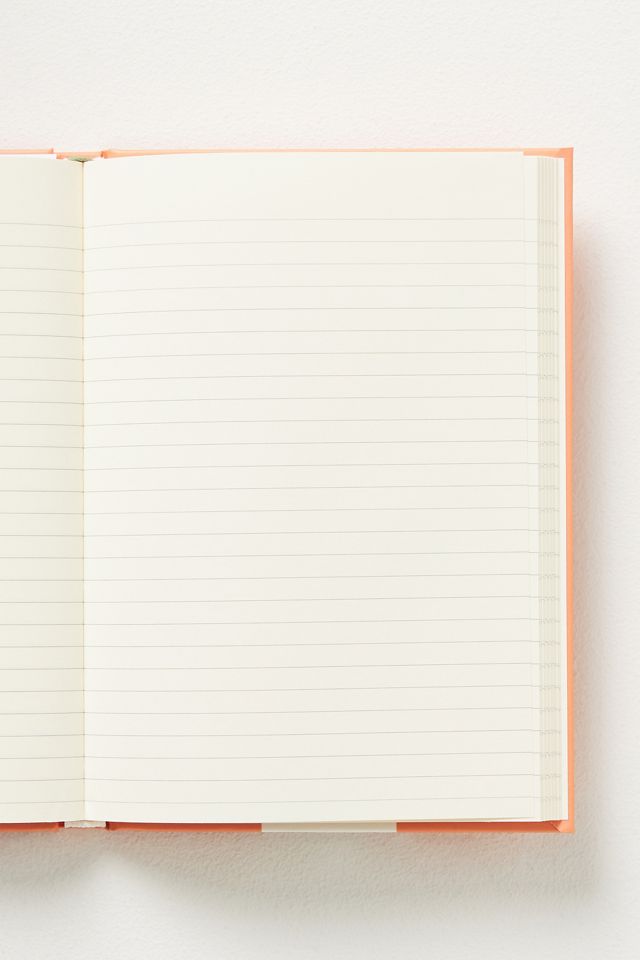 Zodiac Journal #2