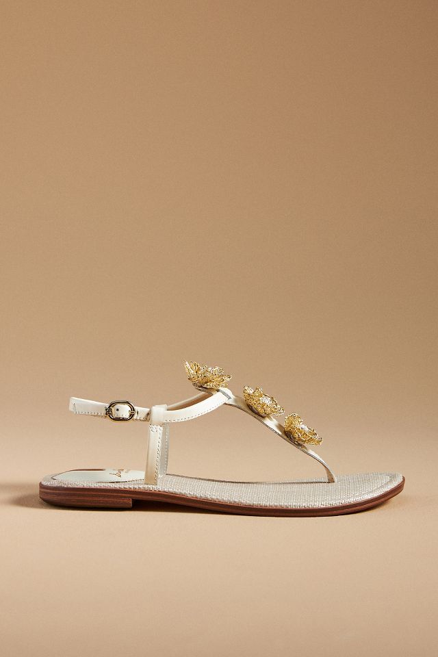 Sam Edelman Gigi Flora Thong Sandals | Anthropologie