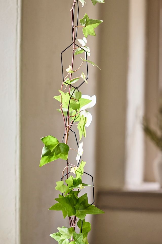 Chain Trellis #1
