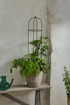 Obelisk Topiary Frame
