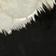 Black & White Pattern