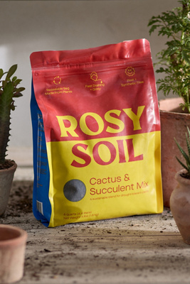 Terrain Rosy Soil Cactus + Succulent Soil Mix Review: Drainage, Texture & Verdict