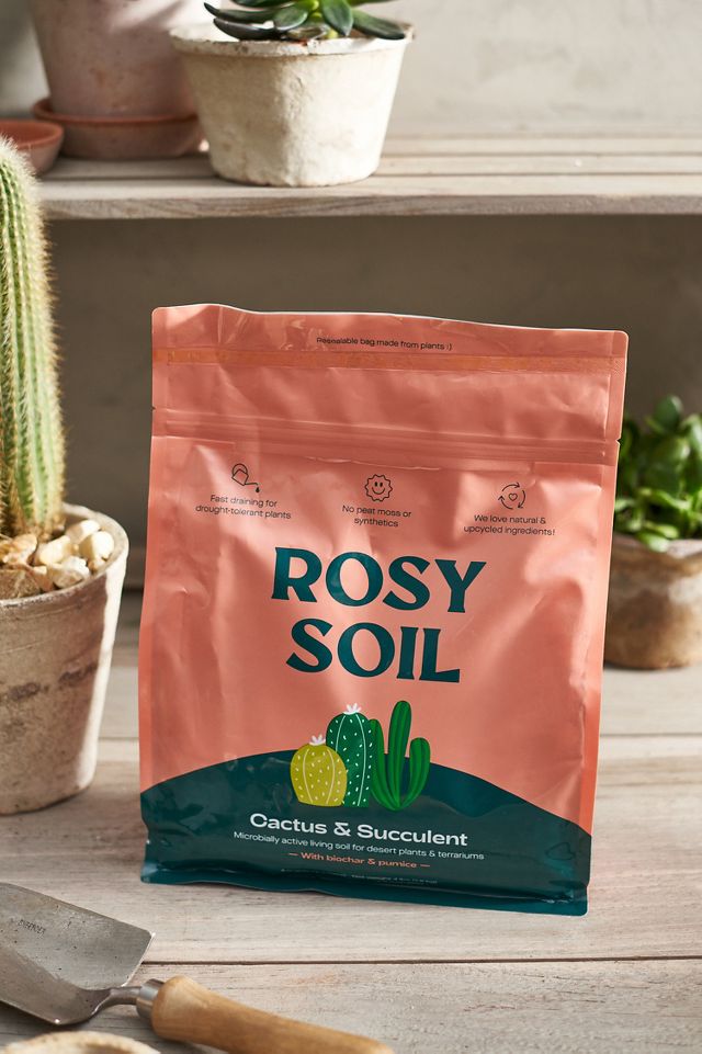Rosy Soil Cactus + Succulent Soil Mix | Terrain