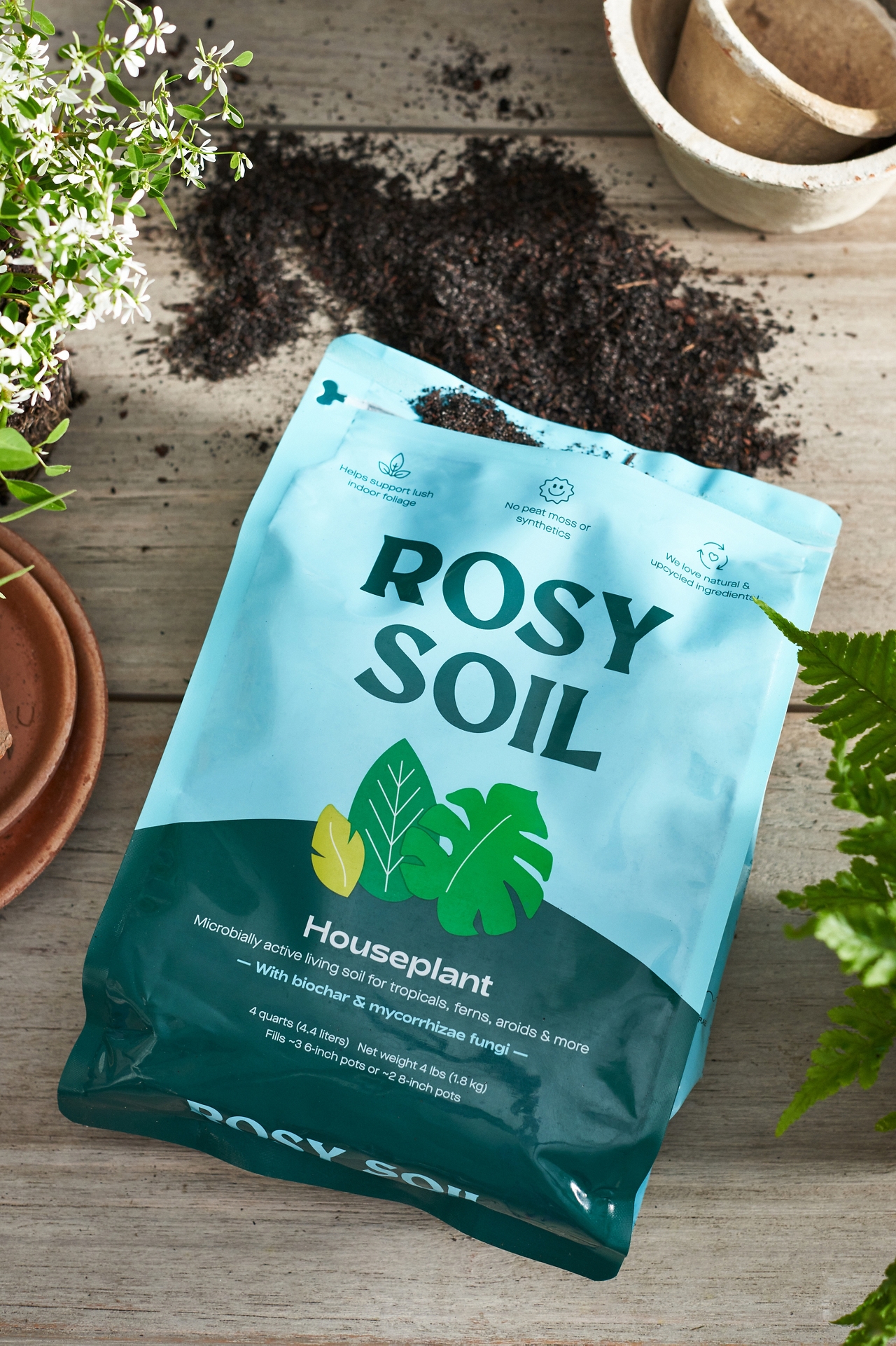 Rosy Soil Earth Positive Indoor Potting Mix