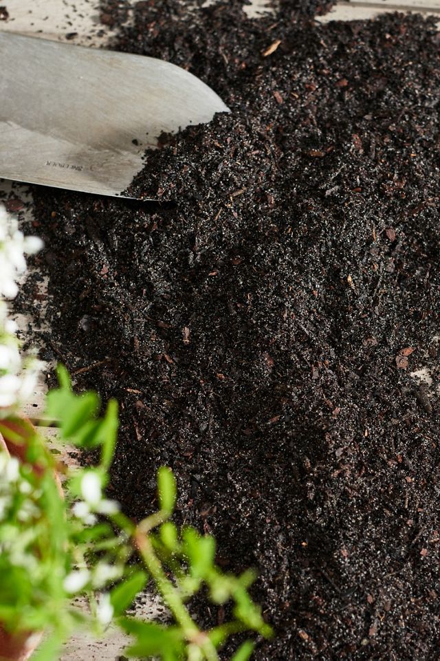 Rosy Soil Earth Positive Indoor Potting Mix #1