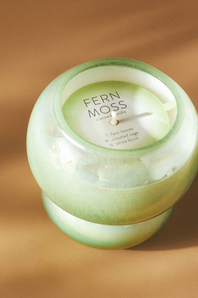 Mila Fresh Fern Moss Glass Candle #2