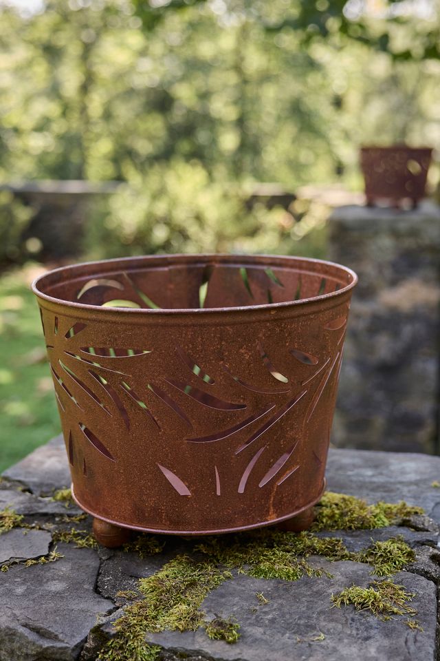 Fern Fire Bucket #1