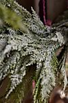 Frosty Faux Cedar Wreath #1