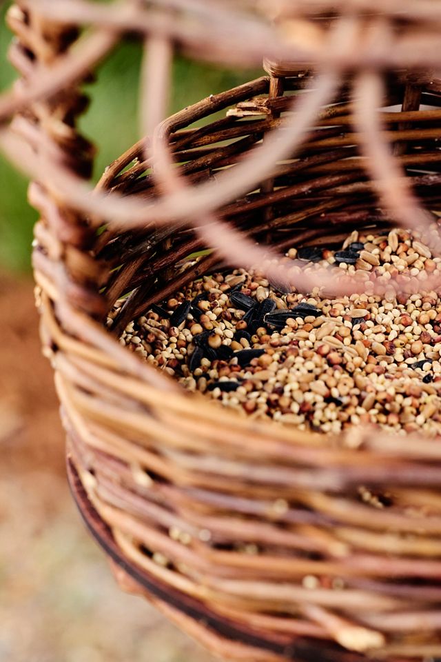 Willow Platform Bird Feeder #1