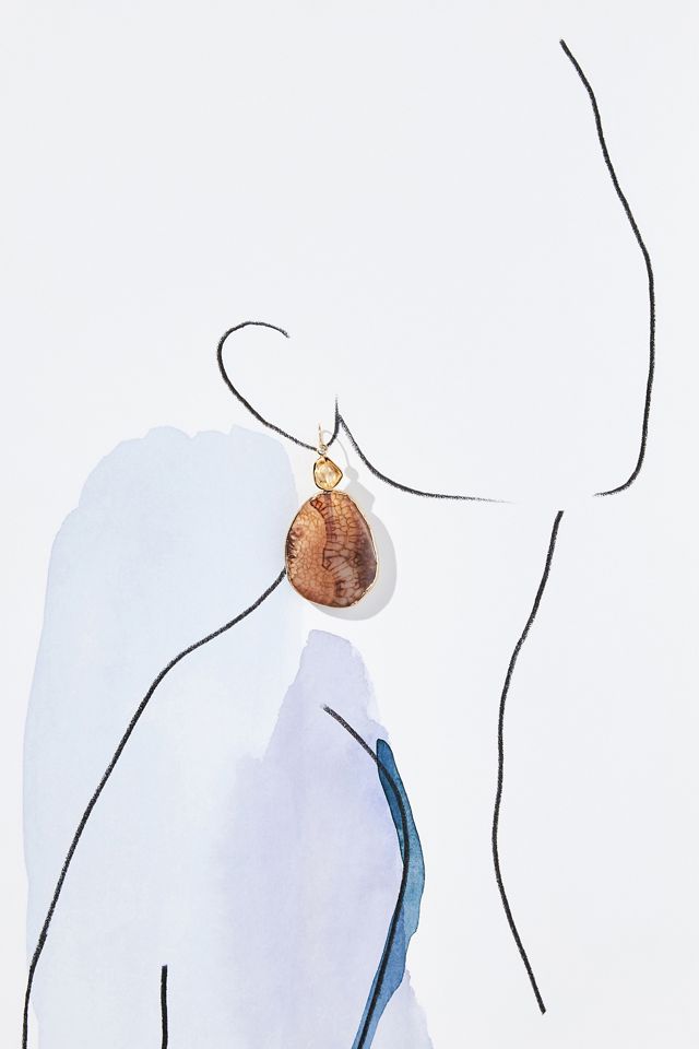 Southwestern Agate Fishhook Earrings #2