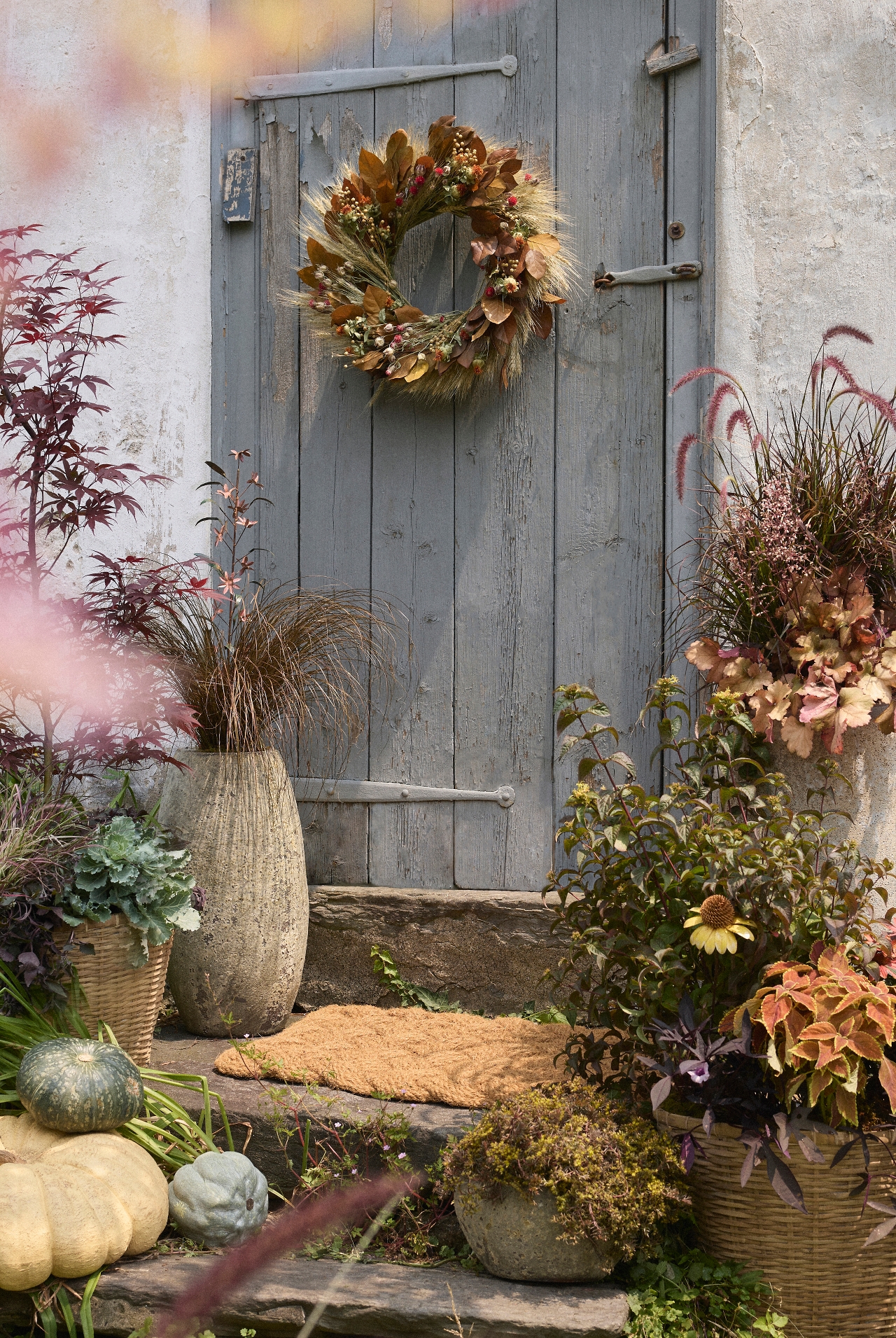 La Hora Dorada Preserved Wreath