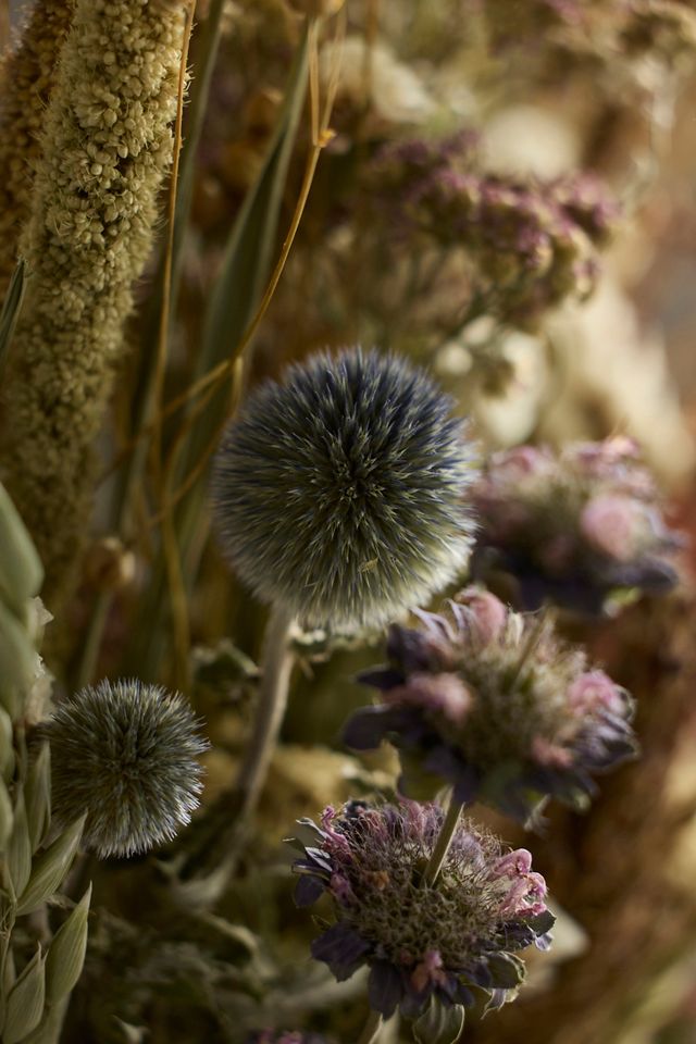 Painted Desert Preserved Bouquet #1
