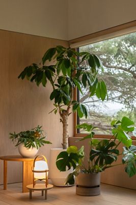 Bergs Hoff Terracotta Pot