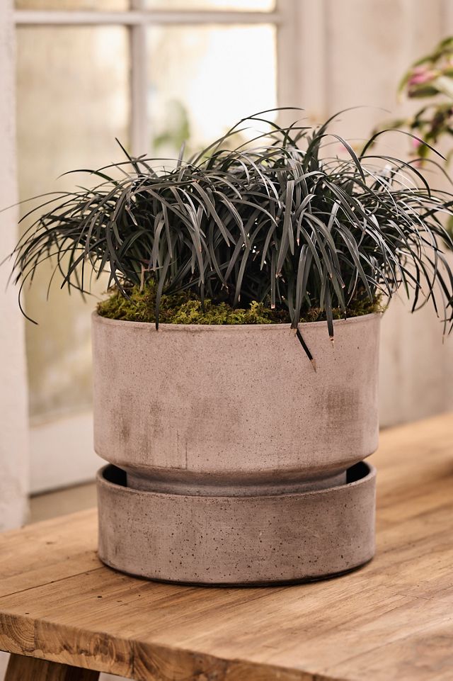 Bergs Hoff Terracotta Pot #6