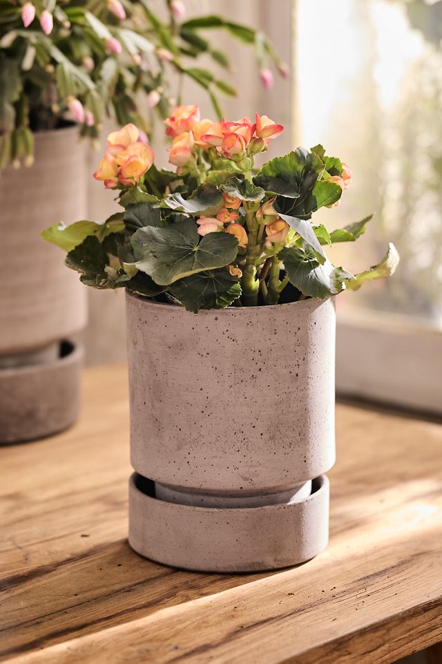 Bergs Hoff Terracotta Pot #8