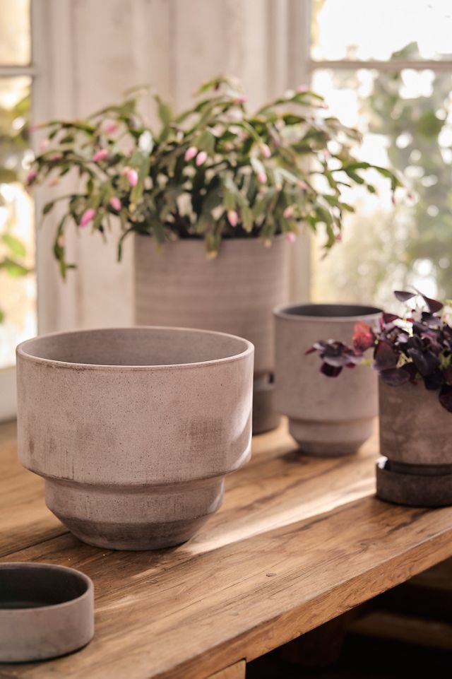 Bergs Hoff Terracotta Pot #1