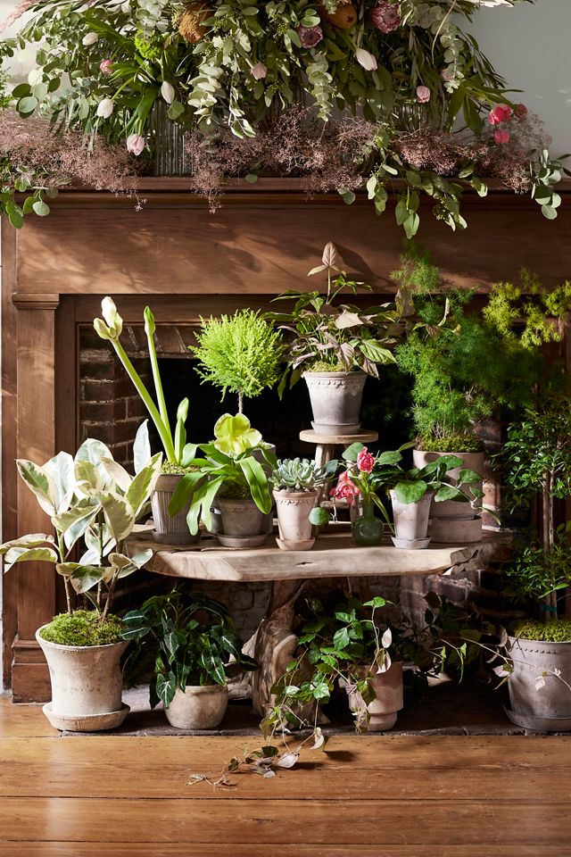 Bergs Hoff Terracotta Pot #13