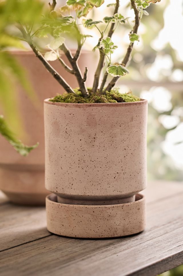 Mod Ceramic Jar Planter, 9"