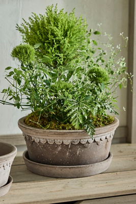 Terrain Copenhagen Terracotta Bowl + Saucer Set