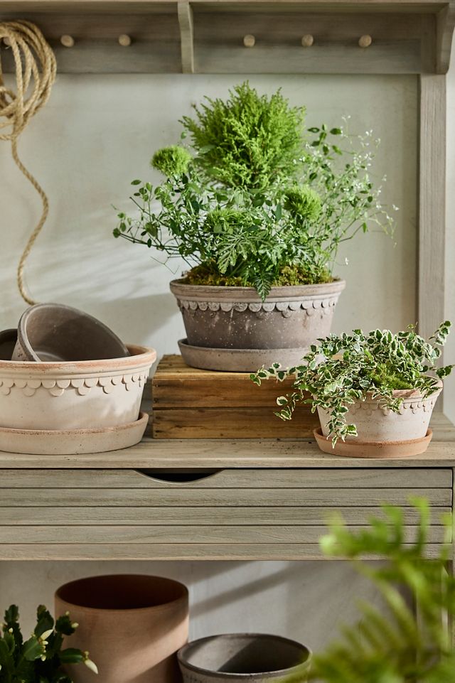 Bergs Copenhagen Terracotta Bowl + Saucer Set #2
