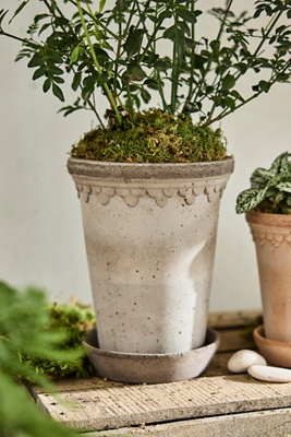Terrain Tall Copenhagen Terracotta Pot + Saucer Set