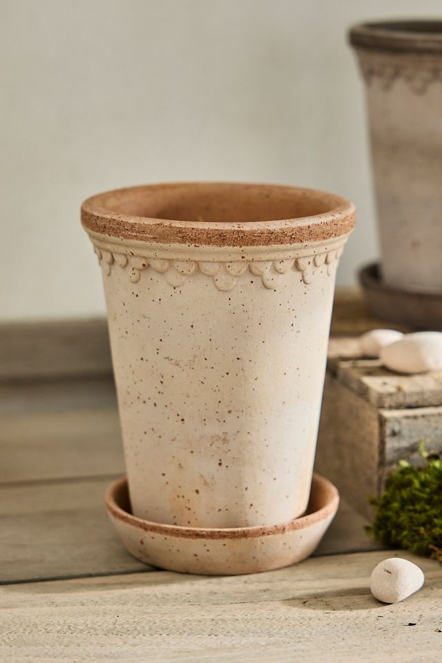 Bergs Tall Copenhagen Terracotta Pot + Saucer Set | Terrain
