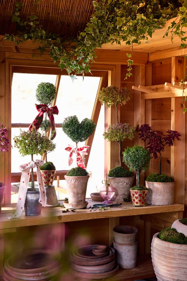 Bergs Tall Copenhagen Terracotta Pot + Saucer Set | Terrain