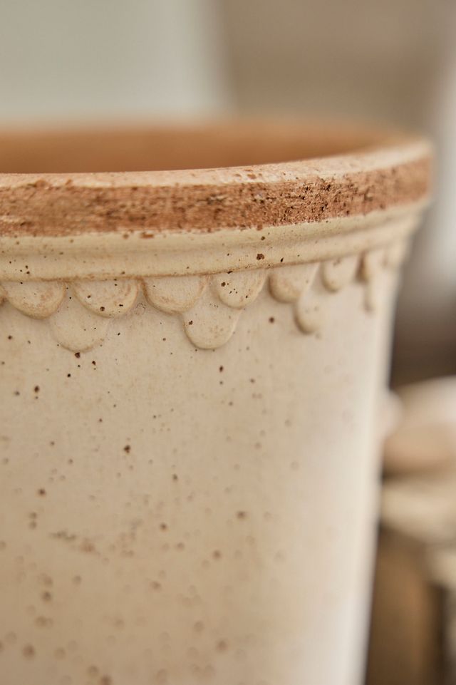 Bergs Tall Copenhagen Terracotta Pot + Saucer Set | Terrain