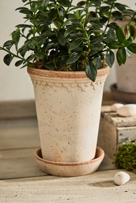 Bergs Tall Copenhagen Terracotta Pot + Saucer Set