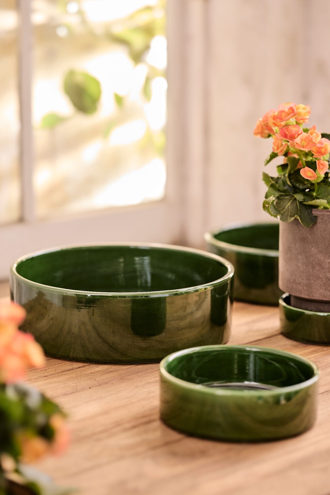 Bergs Hoff Glazed Terracotta Saucer - Green, Standard, 5"