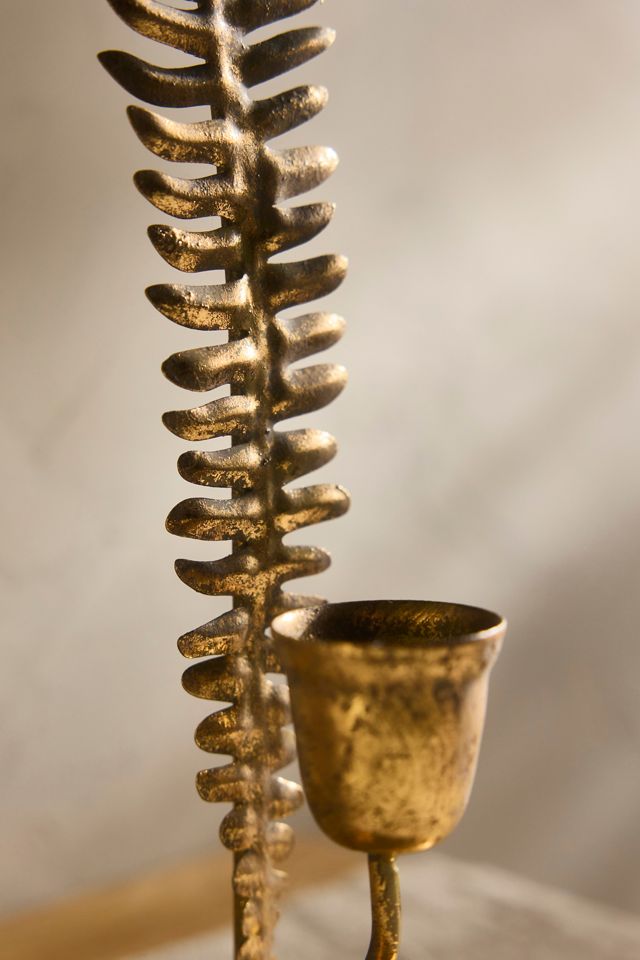 Fern Taper Holder #1