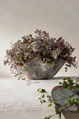 Iron Handkerchief Planter