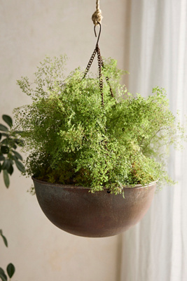 Terrain Hanging Iron Bowl Planter