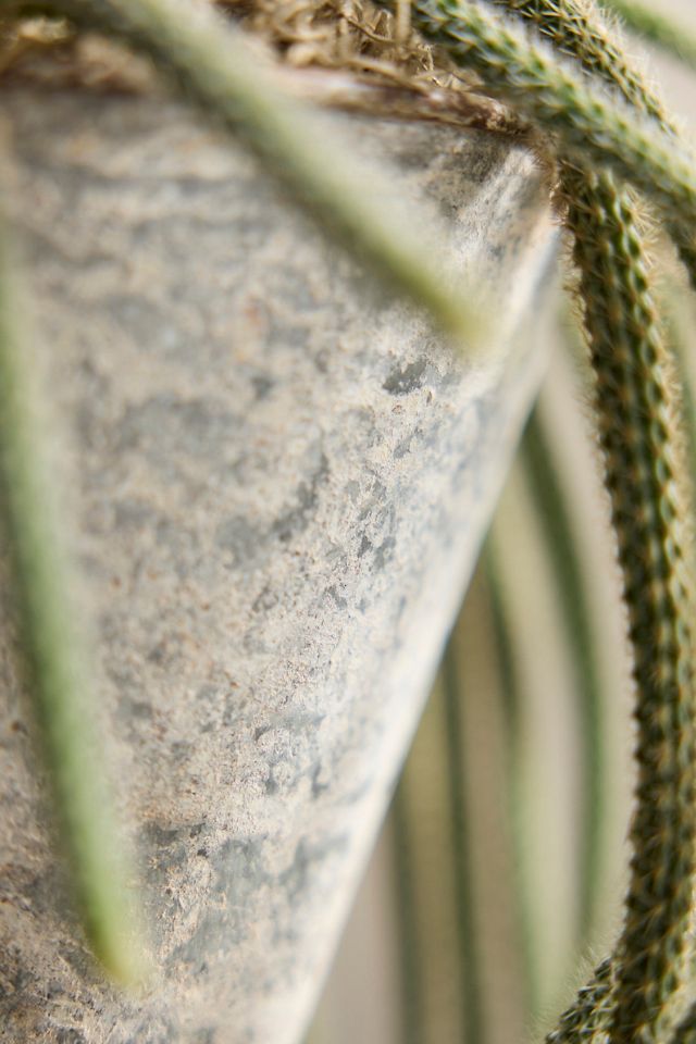 Hanging Iron Cone Pot #2