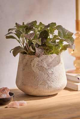 Terrain Aged Iron Droplet Pot