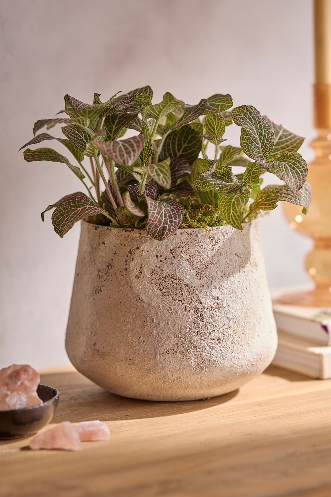 Aged Iron Droplet Pot - Natural, Standard, 6"