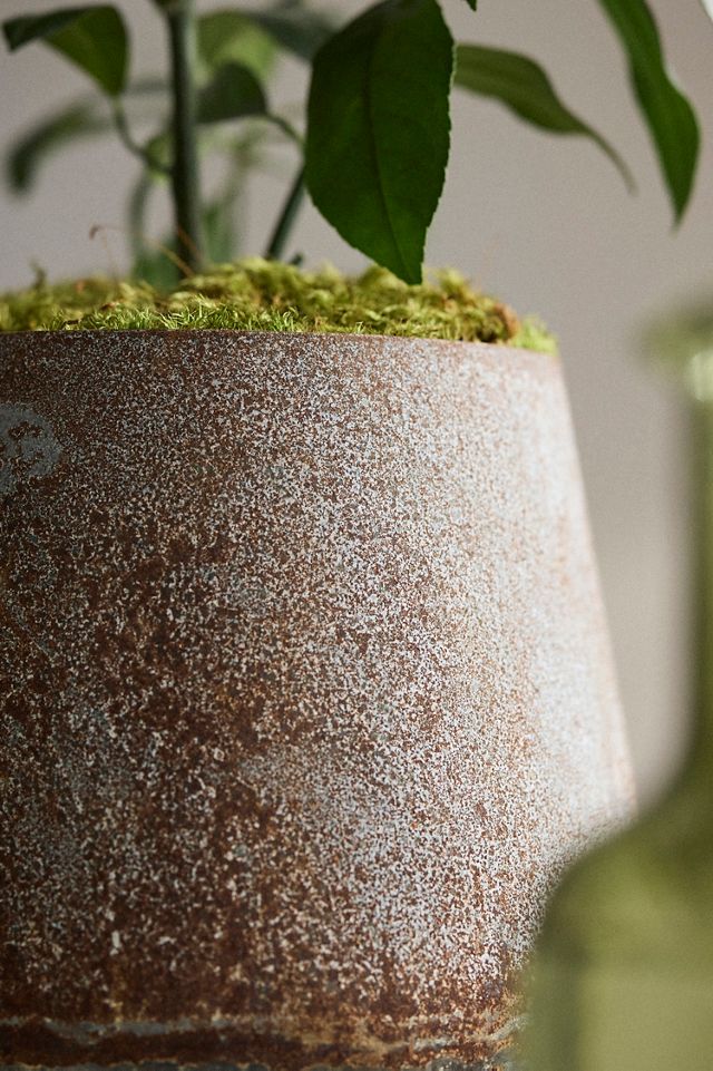 Iron Tapered Urn Planter #2
