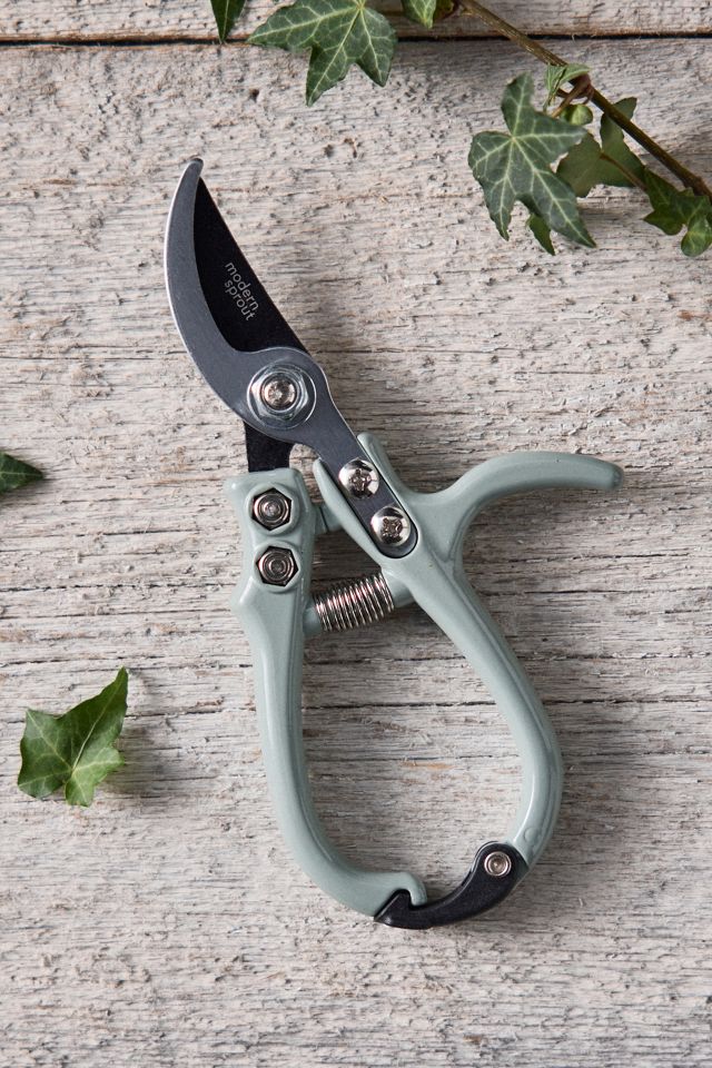 Modern Sprout Pruning Shears