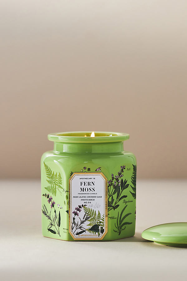 Apothecary 18 By Anthropologie Apothecary 18 Fresh Fern Moss Ceramic Jar Candle In Green