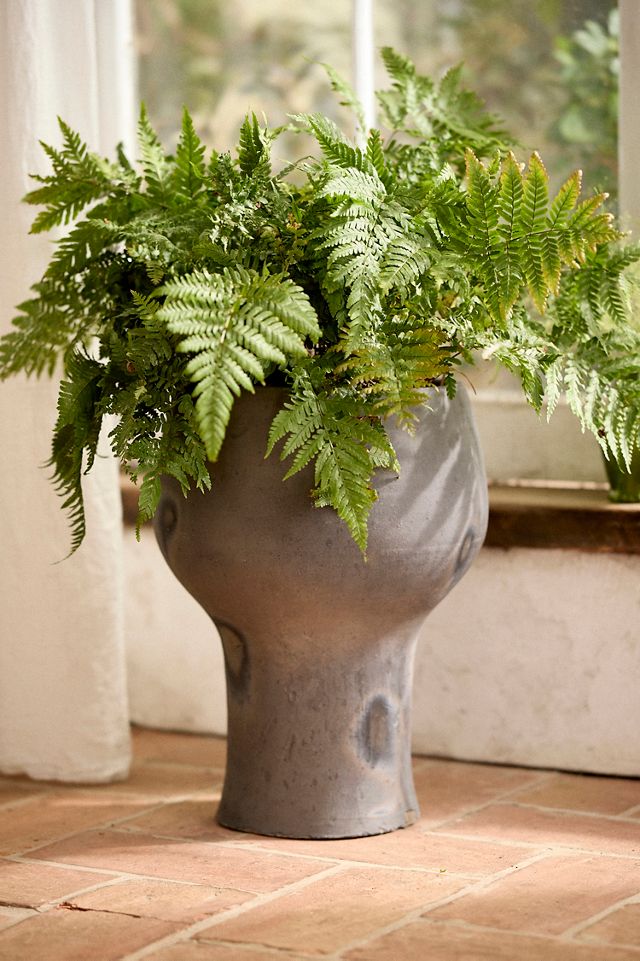 Otto Curved Urn Planter #1