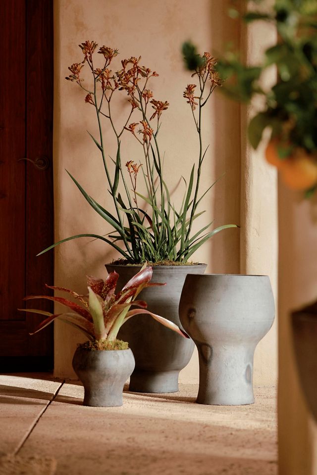 Otto Curved Urn Planter #3